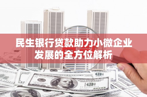 海盐民生银行贷款助力小微企业发展的全方位解析