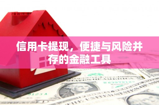 海盐信用卡提现，便捷与风险并存的金融工具