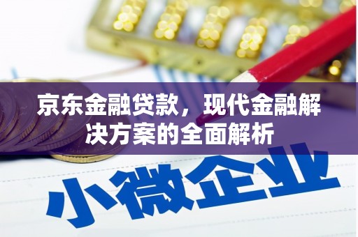 海盐京东金融贷款，现代金融解决方案的全面解析