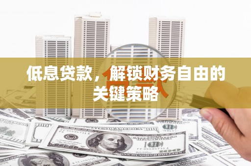 海盐低息贷款，解锁财务自由的关键策略