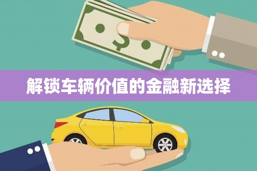海盐解锁车辆价值的金融新选择