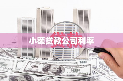海盐小额贷款公司利率