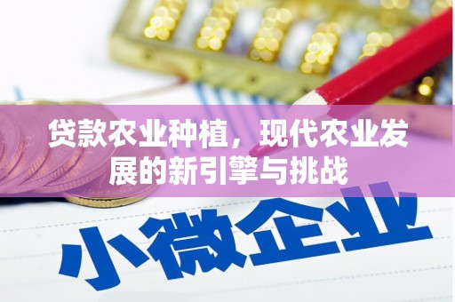 海盐贷款农业种植，现代农业发展的新引擎与挑战