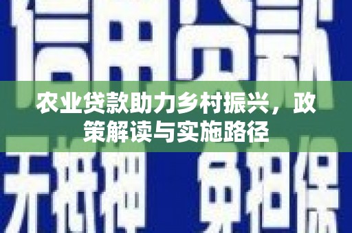 海盐农业贷款助力乡村振兴，政策解读与实施路径