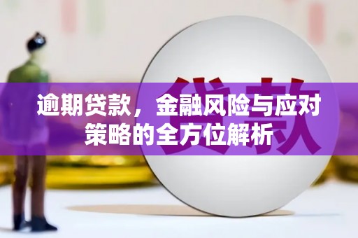 海盐逾期贷款，金融风险与应对策略的全方位解析