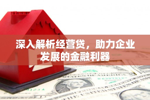 海盐深入解析经营贷，助力企业发展的金融利器