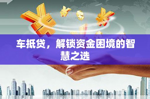 海盐车抵贷，解锁资金困境的智慧之选