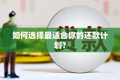 海盐如何选择最适合你的还款计划？