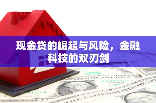 海盐现金贷的崛起与风险，金融科技的双刃剑