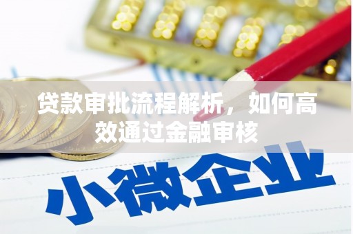 海盐贷款审批流程解析，如何高效通过金融审核