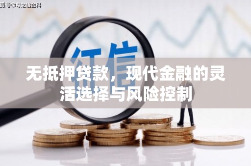 海盐无抵押贷款，现代金融的灵活选择与风险控制