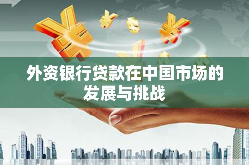 海盐外资银行贷款在中国市场的发展与挑战