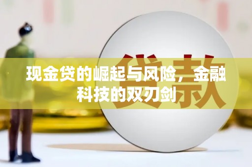 海盐现金贷的崛起与风险，金融科技的双刃剑