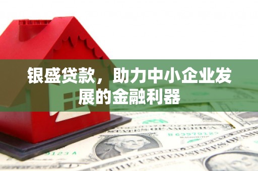 海盐银盛贷款，助力中小企业发展的金融利器