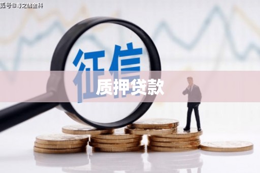 海盐质押贷款