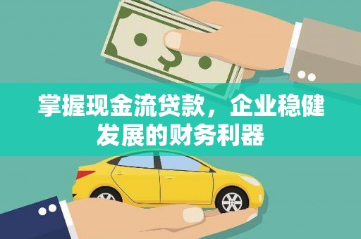 海盐掌握现金流贷款，企业稳健发展的财务利器