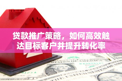 海盐贷款推广策略，如何高效触达目标客户并提升转化率