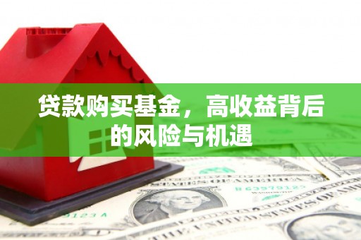 海盐贷款购买基金，高收益背后的风险与机遇