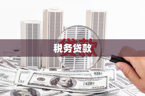 海盐税务贷款
