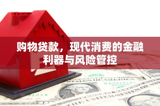 海盐购物贷款，现代消费的金融利器与风险管控
