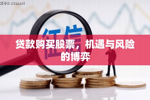 海盐贷款购买股票，机遇与风险的博弈