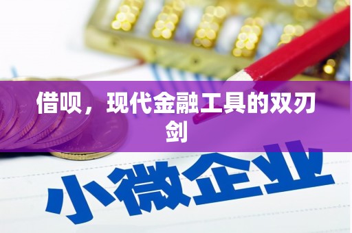 海盐借呗，现代金融工具的双刃剑
