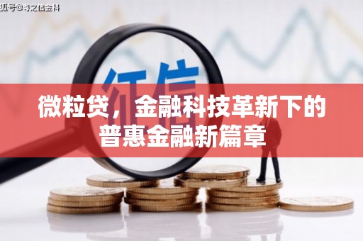 海盐微粒贷，金融科技革新下的普惠金融新篇章