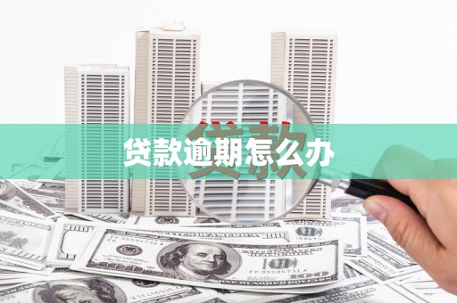 海盐贷款逾期怎么办