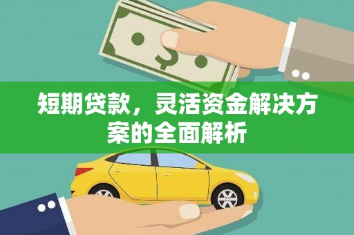 海盐短期贷款，灵活资金解决方案的全面解析
