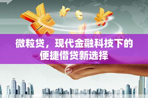 海盐微粒贷，现代金融科技下的便捷借贷新选择