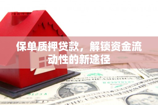 海盐保单质押贷款，解锁资金流动性的新途径