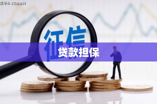 海盐贷款担保