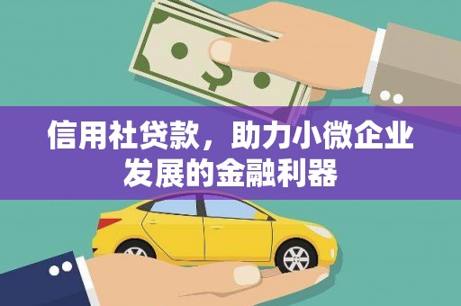 海盐信用社贷款，助力小微企业发展的金融利器