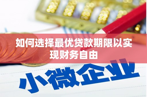 海盐如何选择最优贷款期限以实现财务自由