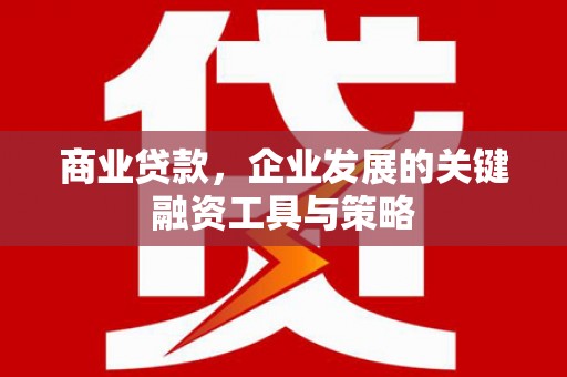 海盐商业贷款，企业发展的关键融资工具与策略