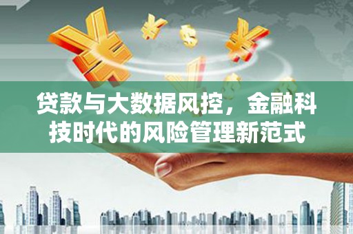 海盐贷款与大数据风控，金融科技时代的风险管理新范式