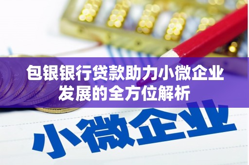 海盐包银银行贷款助力小微企业发展的全方位解析