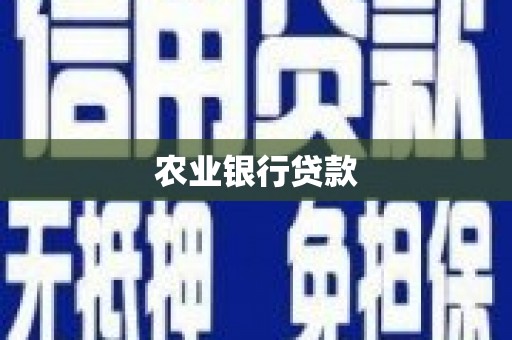 海盐农业银行贷款