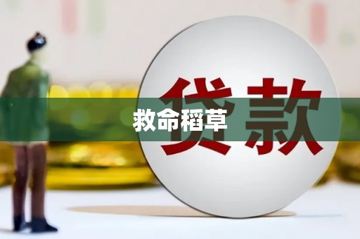 海盐救命稻草