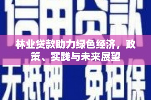 海盐林业贷款助力绿色经济，政策、实践与未来展望