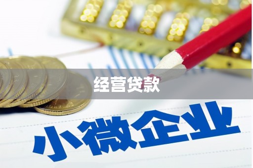 海盐经营贷款