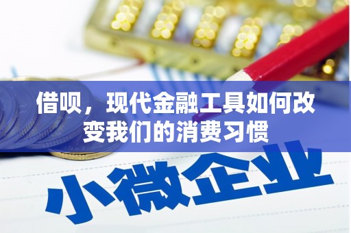 海盐借呗，现代金融工具如何改变我们的消费习惯