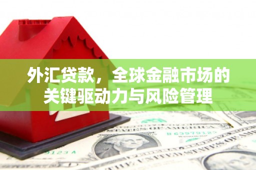 海盐外汇贷款，全球金融市场的关键驱动力与风险管理