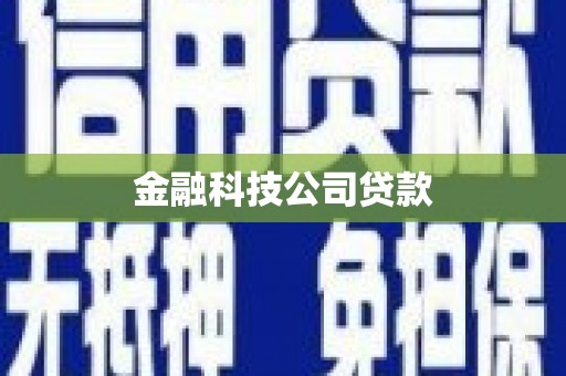 海盐金融科技公司贷款