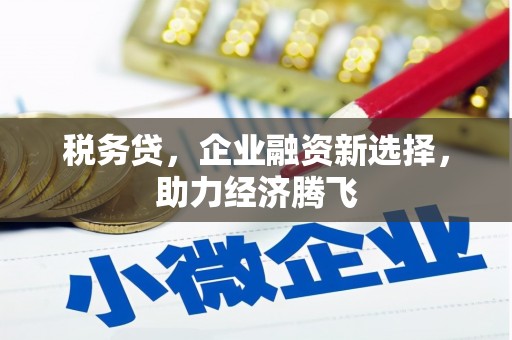 海盐税务贷，企业融资新选择，助力经济腾飞