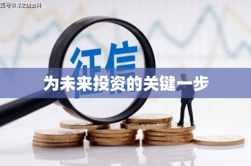 海盐为未来投资的关键一步