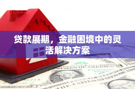 海盐贷款展期，金融困境中的灵活解决方案