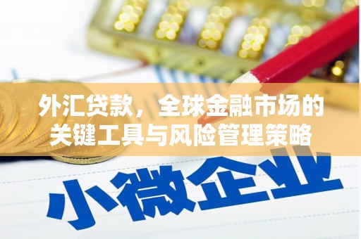 海盐外汇贷款，全球金融市场的关键工具与风险管理策略