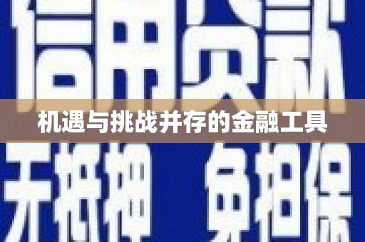 海盐机遇与挑战并存的金融工具