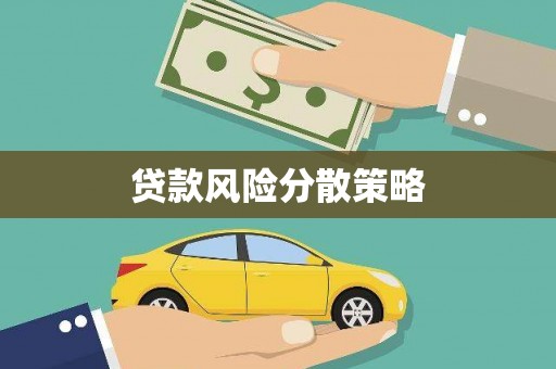 海盐贷款风险分散策略